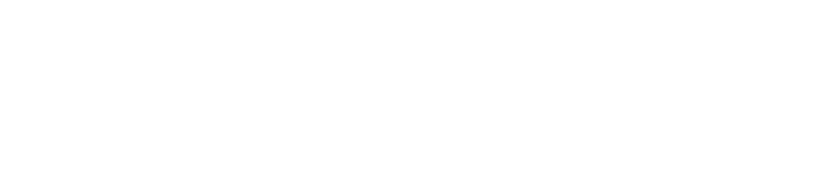 CNBS logo