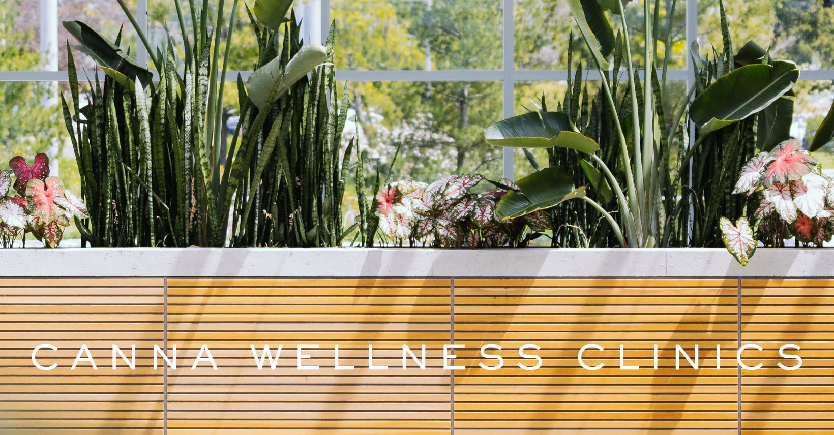 Canna Wellness Clinics
